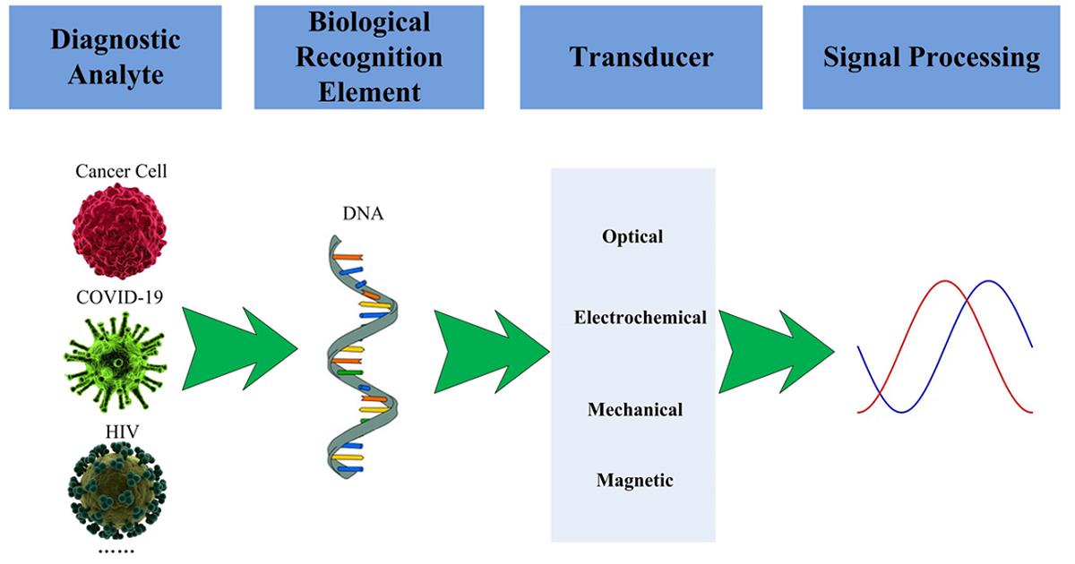 Graphical abstract